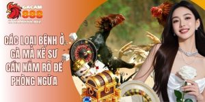các loại bệnh ở gà