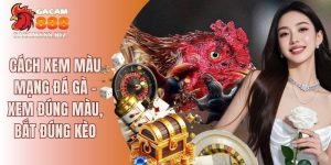 cách xem màu mạng gà đá