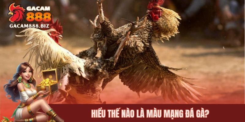 Hiểu thế nào là màu mạng đá gà?