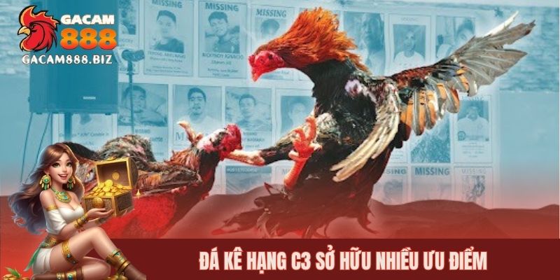 Đá kê hạng C3 sở hữu nhiều ưu điểm