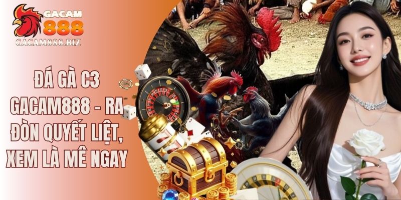 Đá gà C3