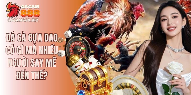 đá gà cựa dao