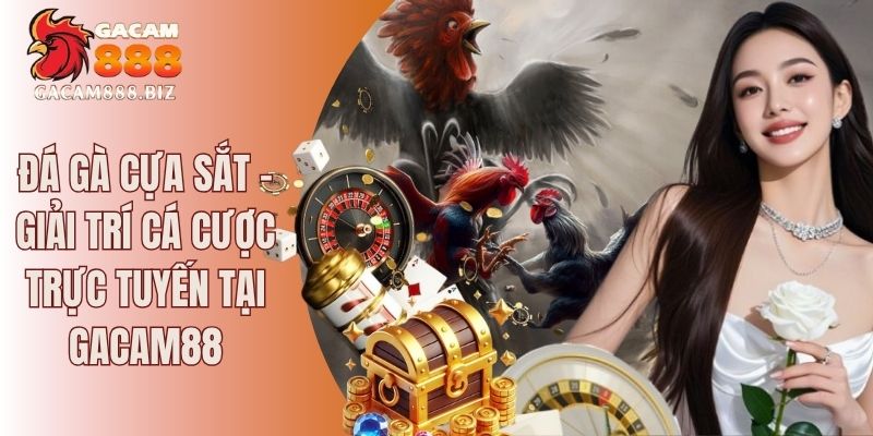 Đá gà cựa sắt