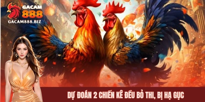 Đặt cược BDD với thưởng cao tại trận đấu