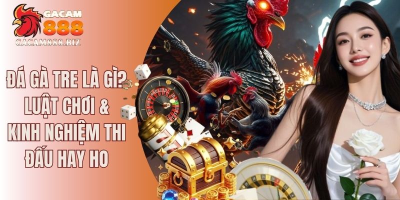 đá gà tre