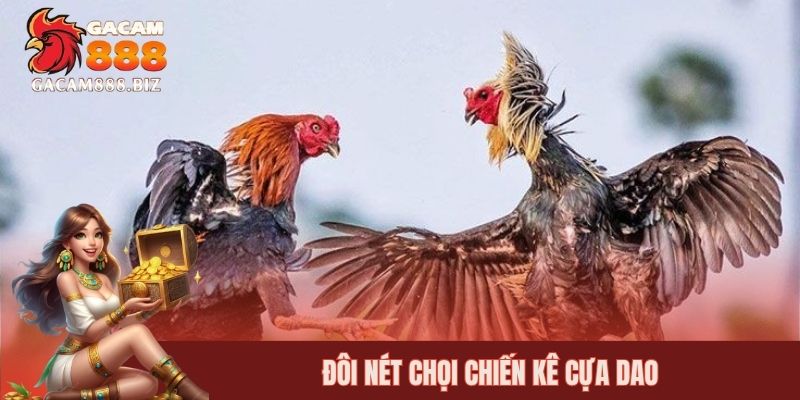 Đôi nét chọi chiến kê cựa dao