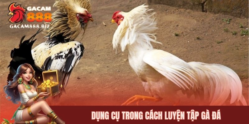 Dụng cụ trong cách luyện tập gà đá