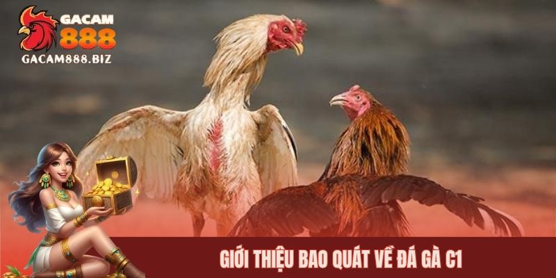 Giới thiệu bao quát về đá gà C1