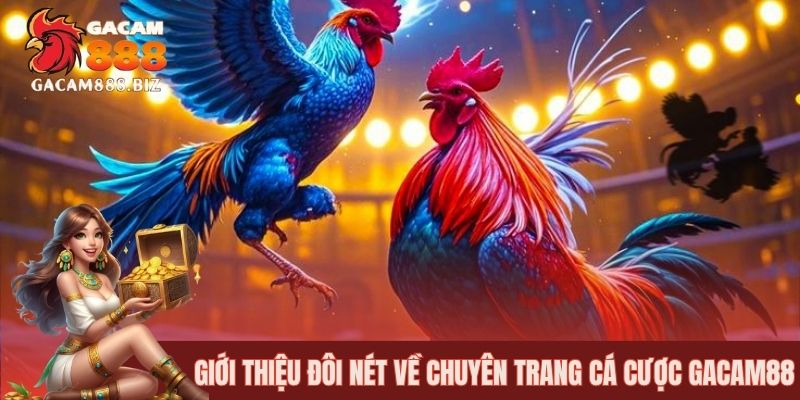 Giới thiệu đôi nét về chuyên trang cá cược GACAM88