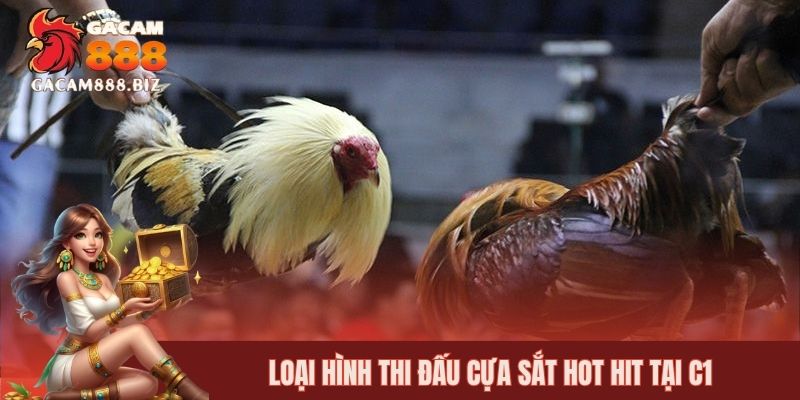 Loại hình thi đấu cựa sắt hot hit tại C1