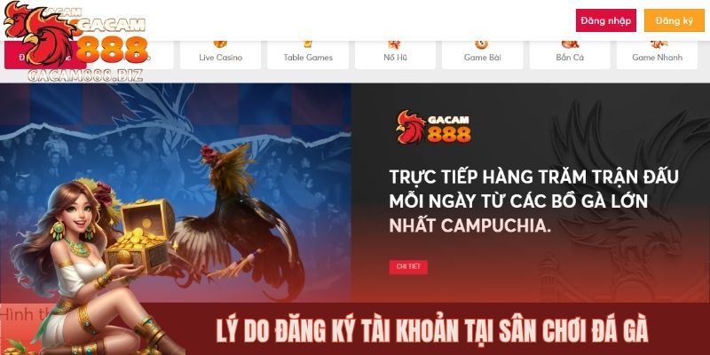Lý do nên đăng ký tài khoản tại sân chơi đá gà