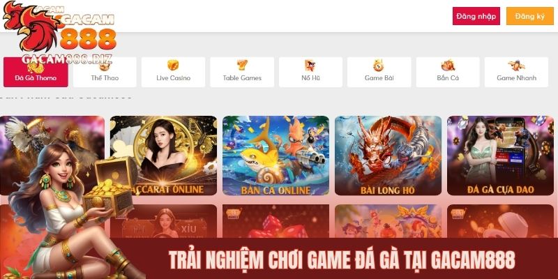 Trải nghiệm chơi game đá gà tại GACAM888